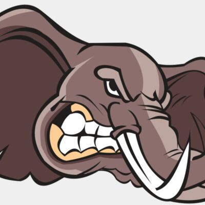 ELEPHANT HD0501 RQC Thumbnail