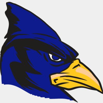 AR13 BLUEJAY 02 RQC Thumbnail