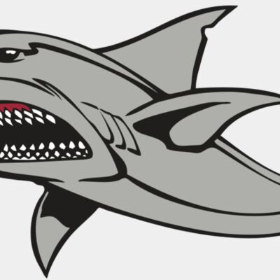 BAW SHARK 03 RC Thumbnail