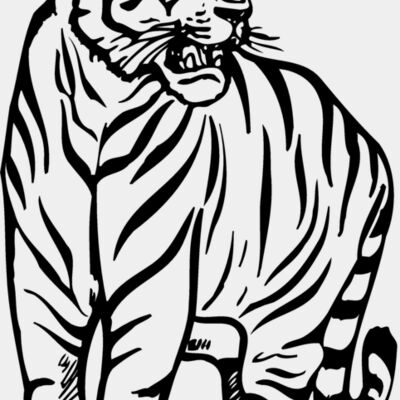 TIGER001 Thumbnail