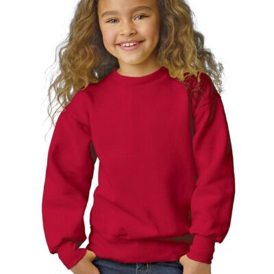 ComfortBlend EcoSmart Youth Sweatshirt Thumbnail