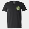 Softstyle V-Neck T-Shirt Thumbnail