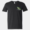 Softstyle V-Neck T-Shirt Thumbnail