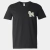 Softstyle V-Neck T-Shirt Thumbnail