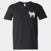 Softstyle V-Neck T-Shirt Thumbnail