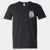 Softstyle V-Neck T-Shirt Thumbnail