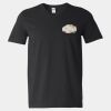 Softstyle V-Neck T-Shirt Thumbnail