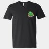 Softstyle V-Neck T-Shirt Thumbnail
