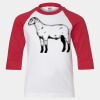 Youth Three Quarter Sleeve Baseball T-Shirt Thumbnail